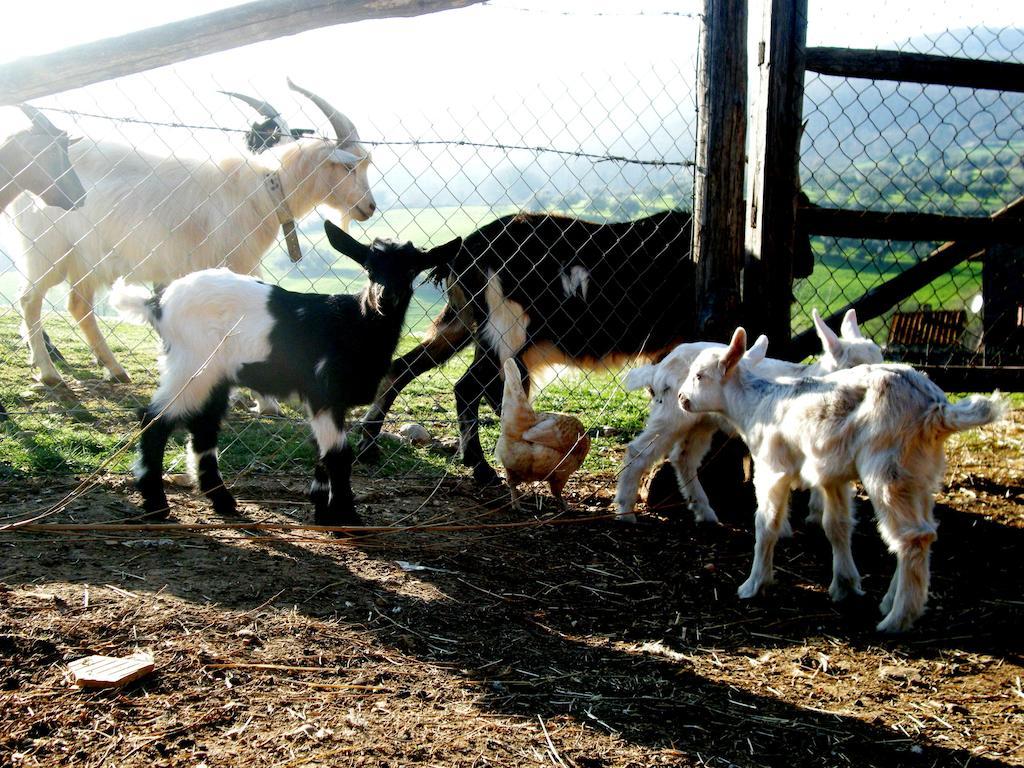 فيلا Agrihouse براتشيانو المظهر الخارجي الصورة